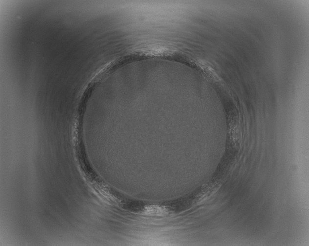 X0000071780591200607150057