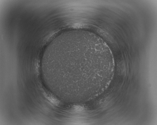 X0000071780592200607150057