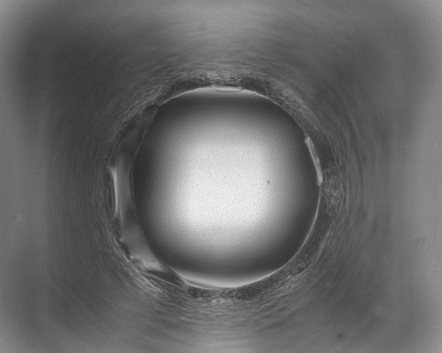 X0000071780593200607150057