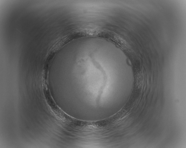 X0000071780594200607150057