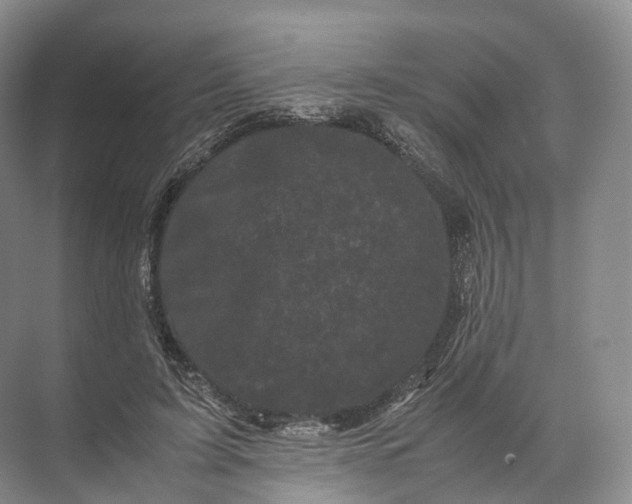 X0000071780595200607150057