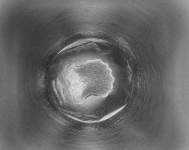 X0000071780596200607150057