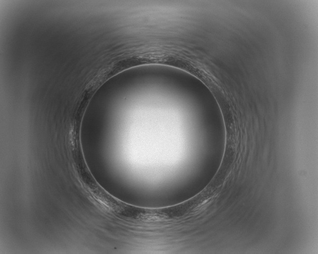 X0000071780597200607150057