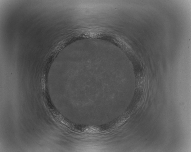 X0000071780599200607150057