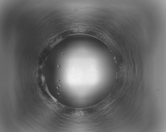 X0000071780600200607150057