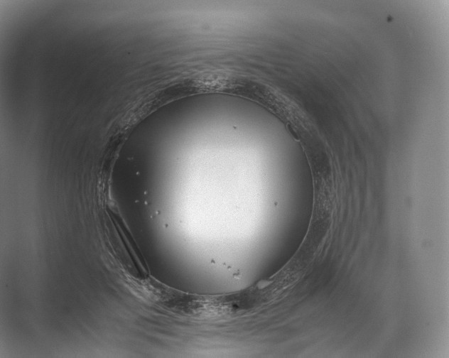 X0000071780601200607150057