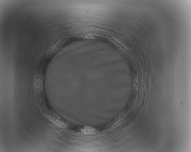 X0000071780603200607150057