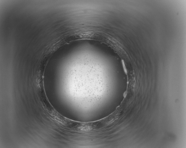 X0000071780604200607150057