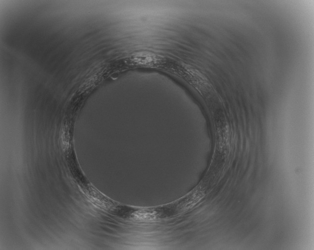 X0000071780606200607150057