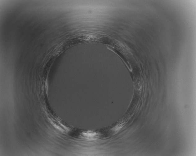 X0000071780607200607150057