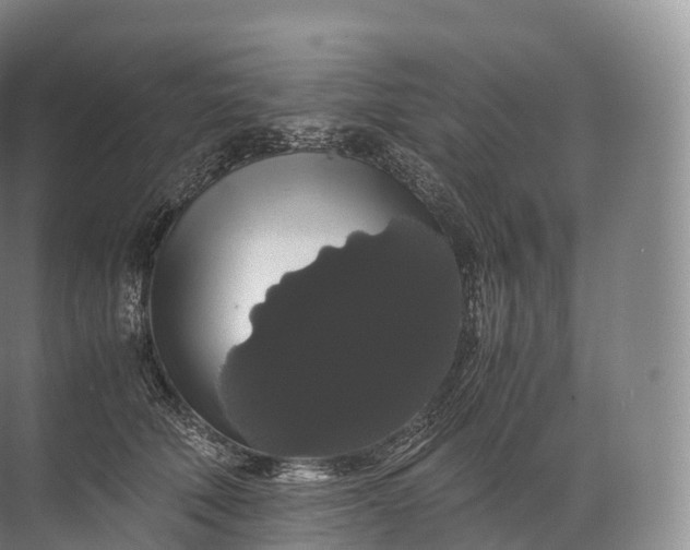 X0000071780610200607150057