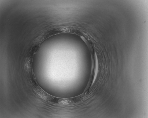 X0000071780611200607150057