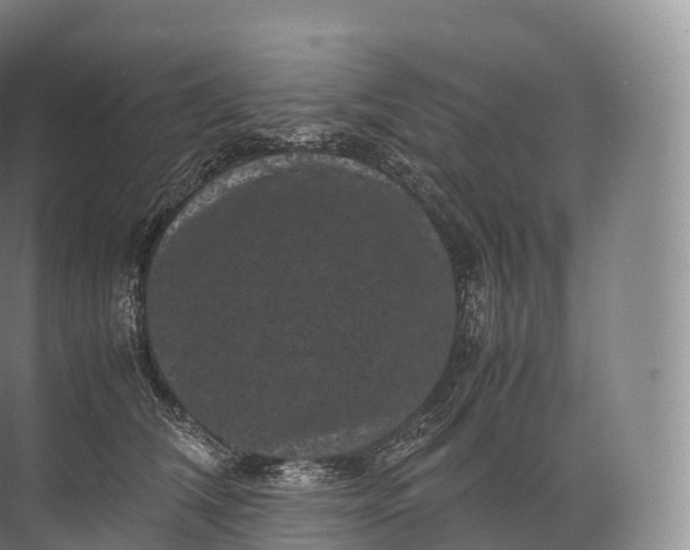 X0000071780612200607150056