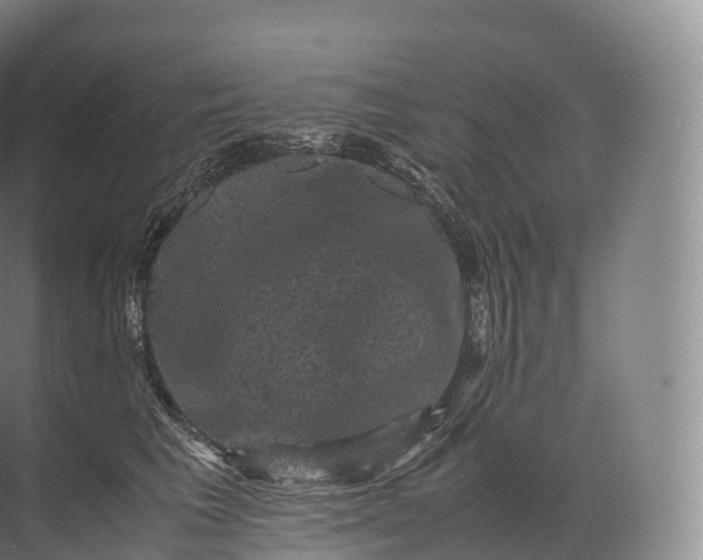 X0000071780613200607150056