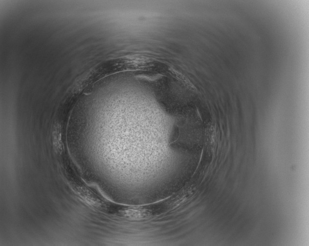 X0000071780615200607150056