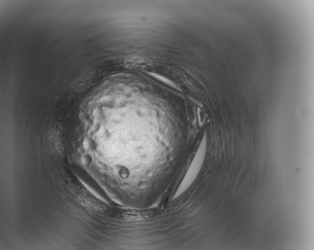 X0000071780616200607150056