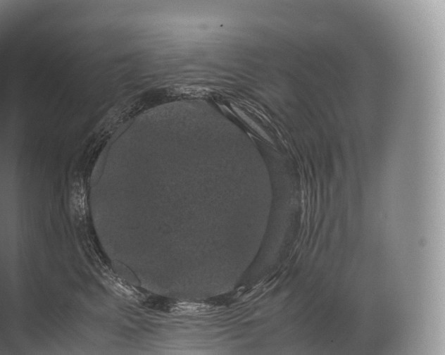 X0000071780617200607150056