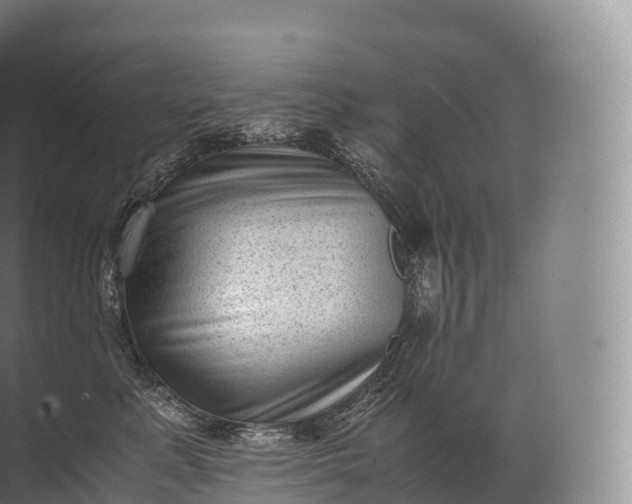 X0000071780619200607150056