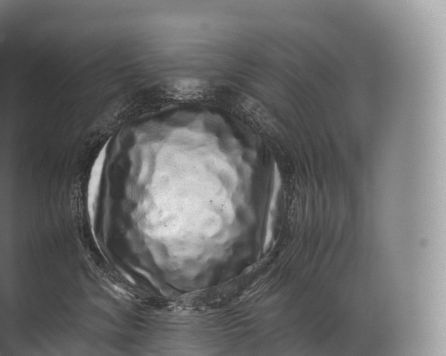 X0000071780620200607150056