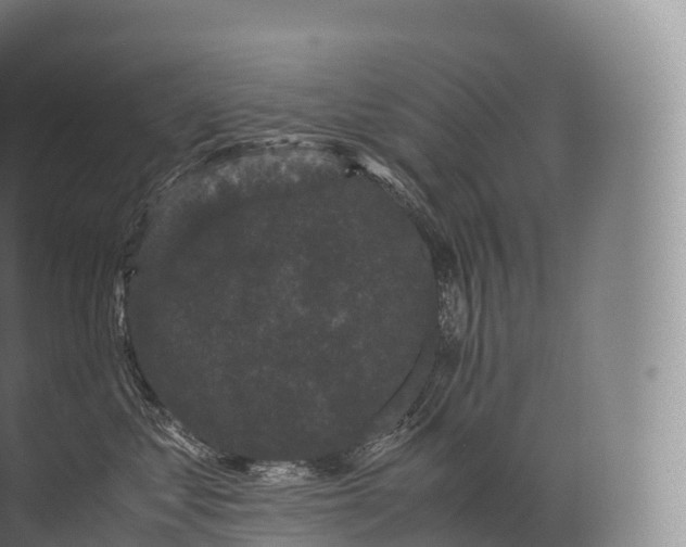 X0000071780621200607150056