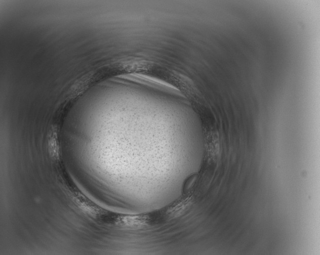 X0000071780622200607150056