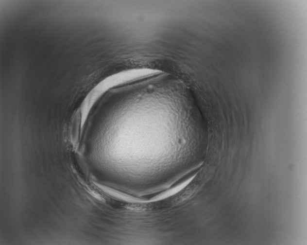 X0000071780624200607150056