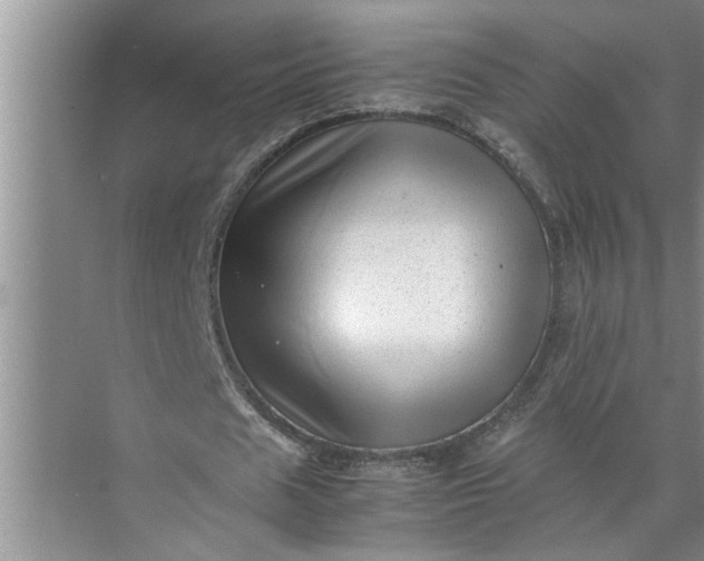 X0000071780625200607150055