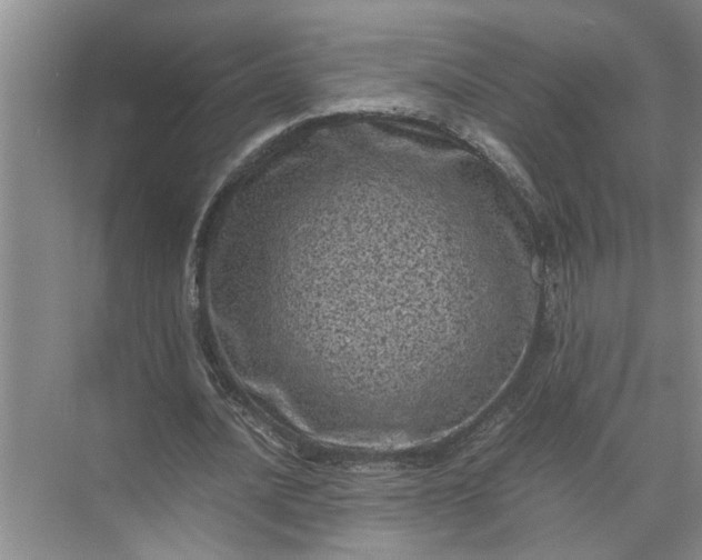 X0000071780628200607150056