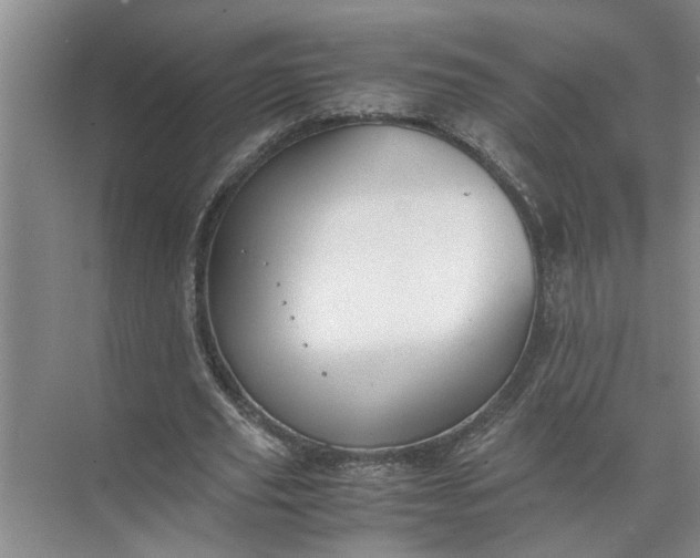 X0000071780629200607150056