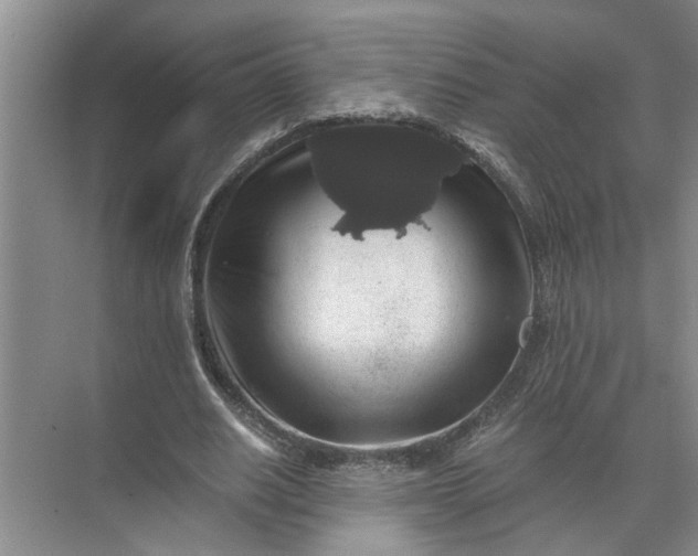 X0000071780630200607150056