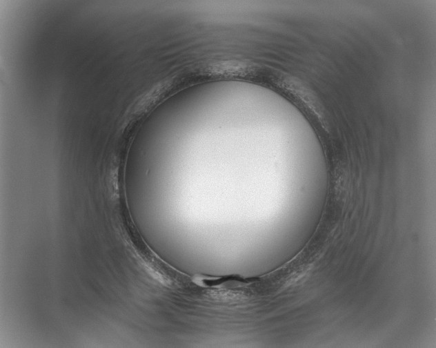 X0000071780633200607150056