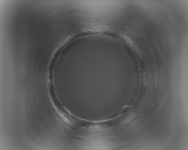 X0000071780634200607150056