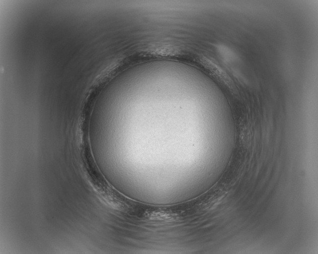 X0000071780635200607150056