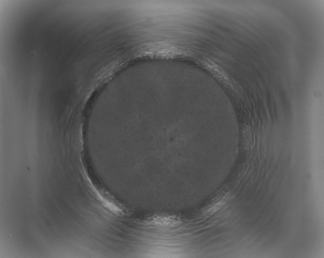 X0000071780638200607150056