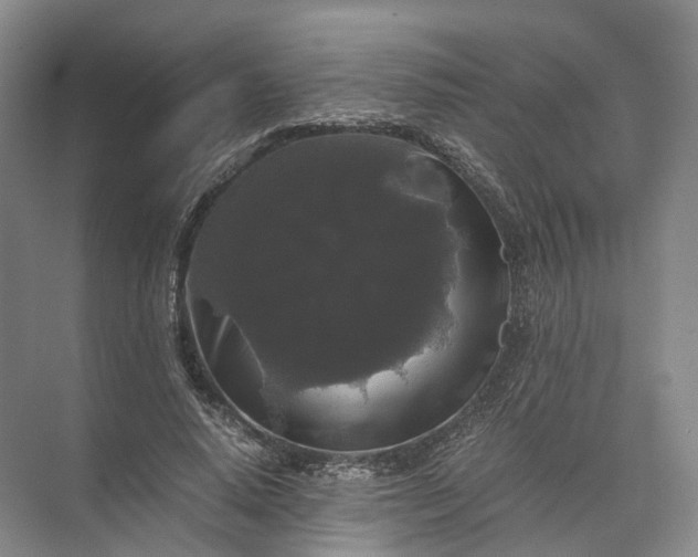 X0000071780640200607150056