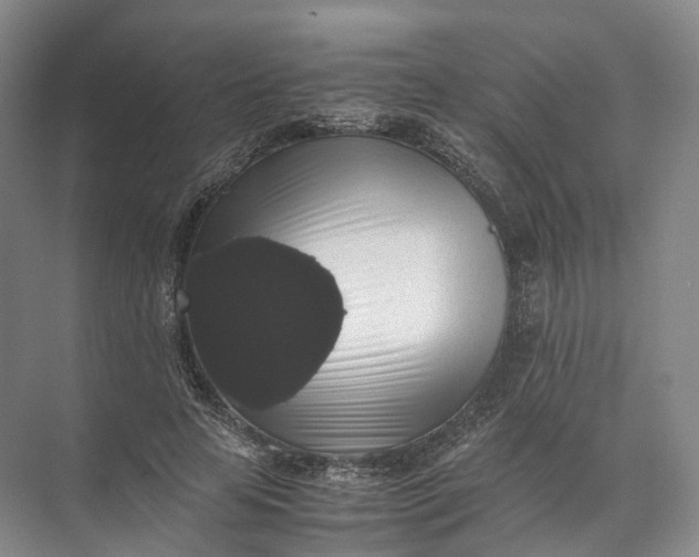 X0000071780641200607150056