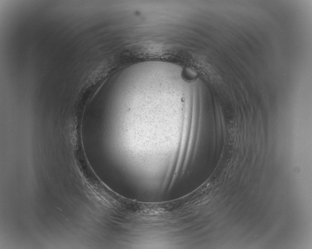 X0000071780642200607150056