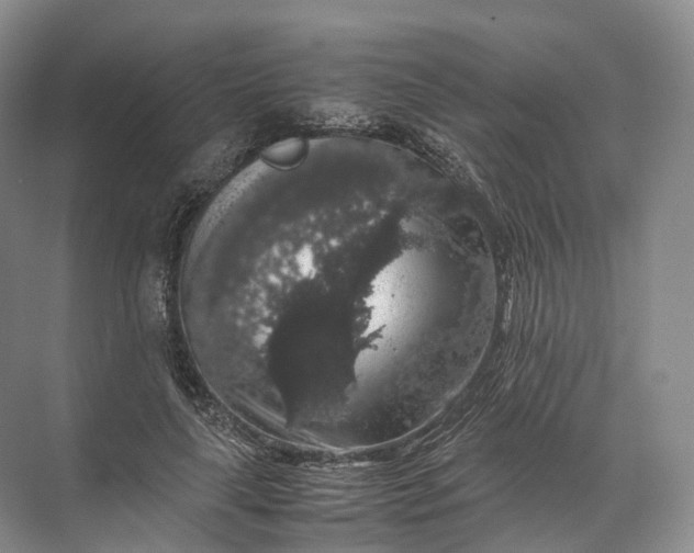 X0000071780643200607150056