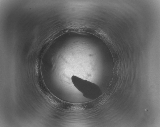 X0000071780644200607150056