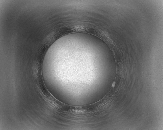 X0000071780645200607150056