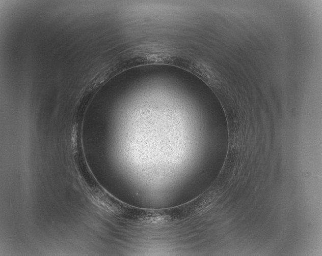 X0000071780646200607150056