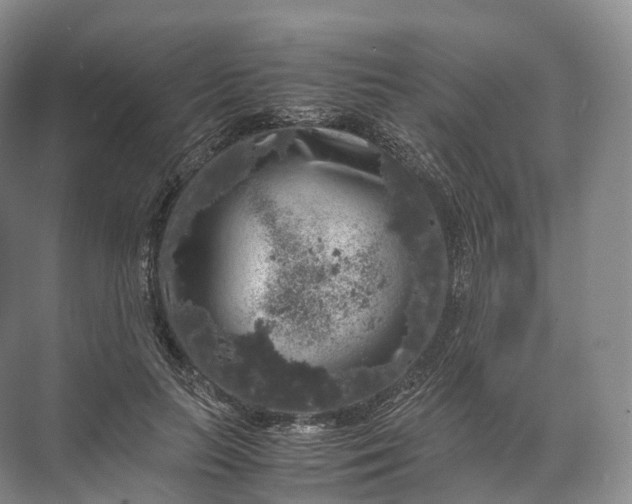 X0000071780647200607150056