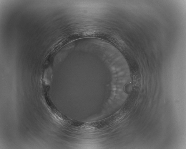 X0000071780648200607150056