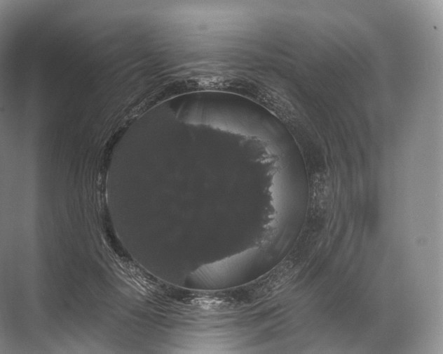 X0000071780650200607150056