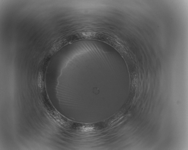 X0000071780651200607150056