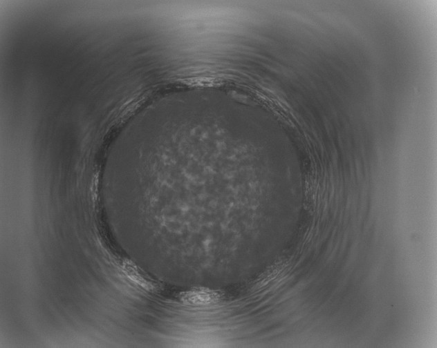 X0000071780652200607150056