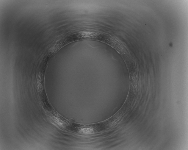 X0000071780653200607150056