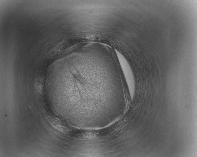 X0000071780656200607150056