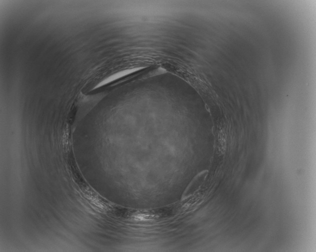 X0000071780657200607150056