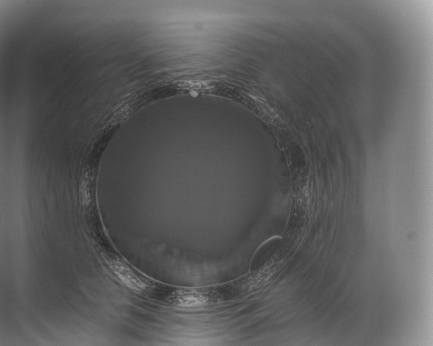 X0000071780658200607150056